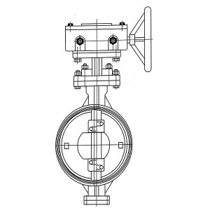 Butt Welded Bidirectional Sealing Butterfly Valves (3)